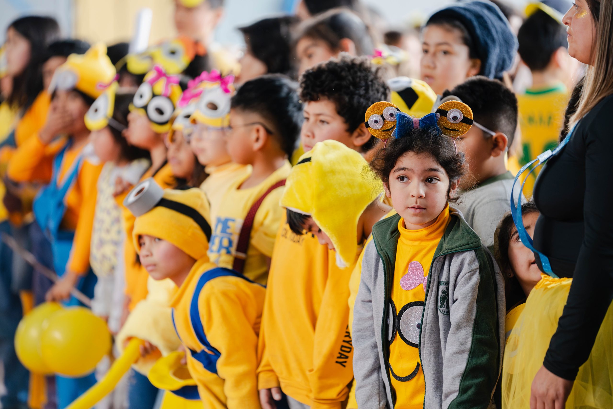 _AFD6551-Mejorado-NR